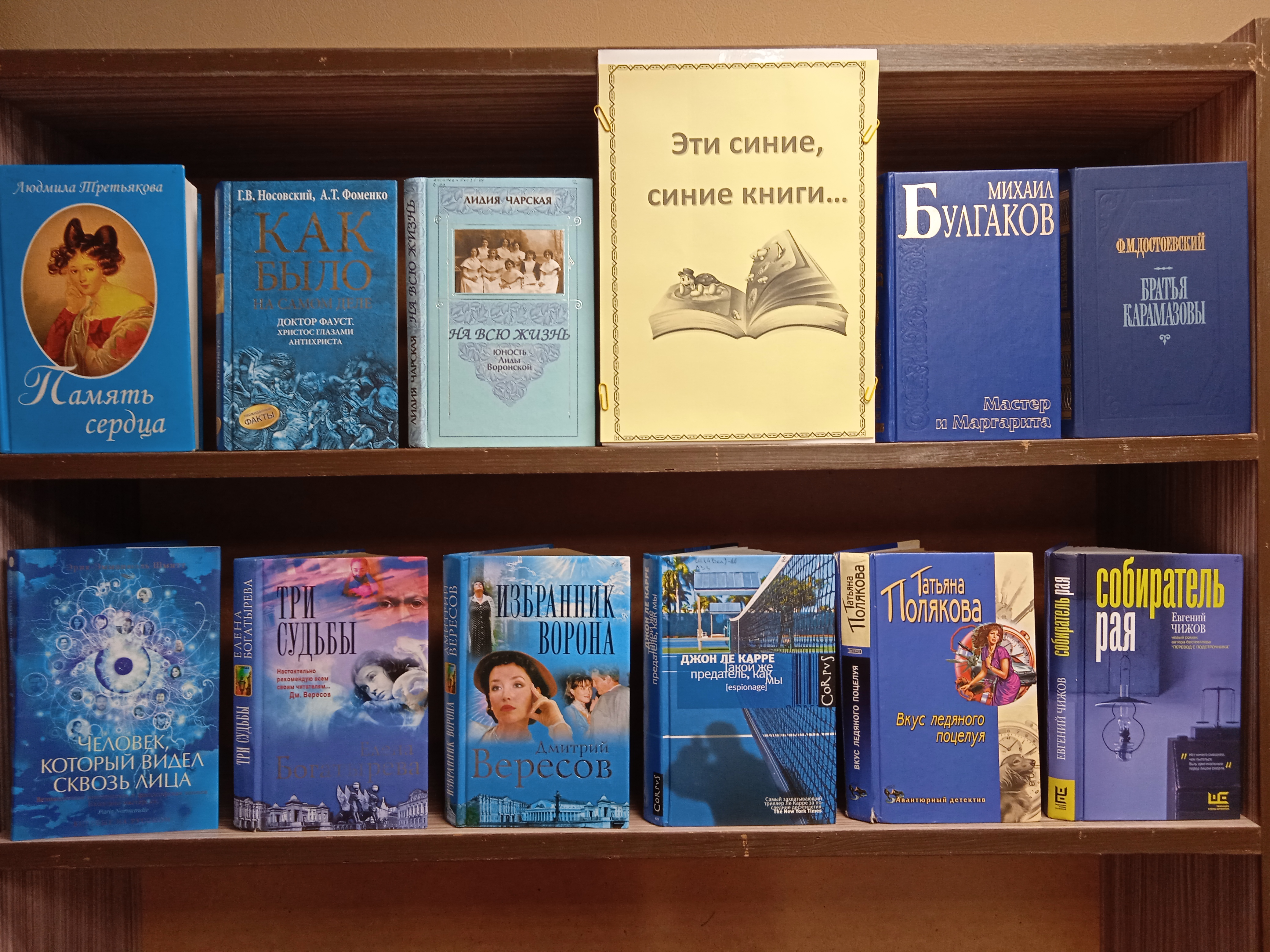 /Files/image/lyubanskaya_gorodskaya_biblioteka_knizhnaya_vustavka_eta_sinyaya,_sinyaya_kniga____dekabr_2021g.jpg