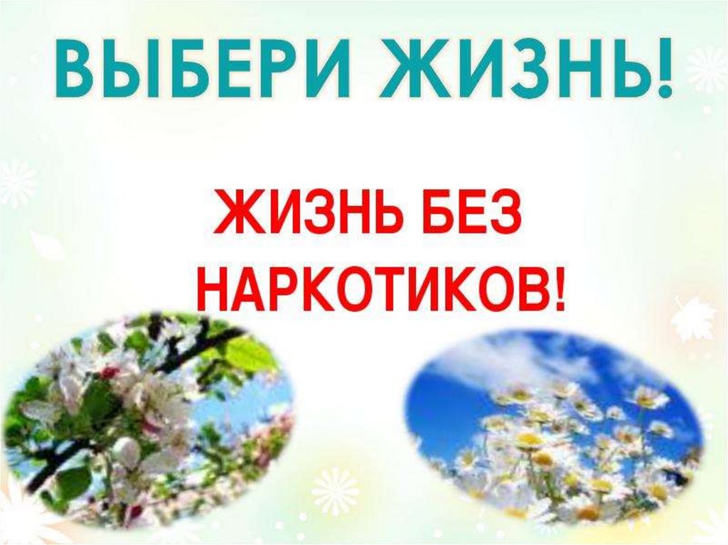 Презентация жизнь без наркотиков 8 класс